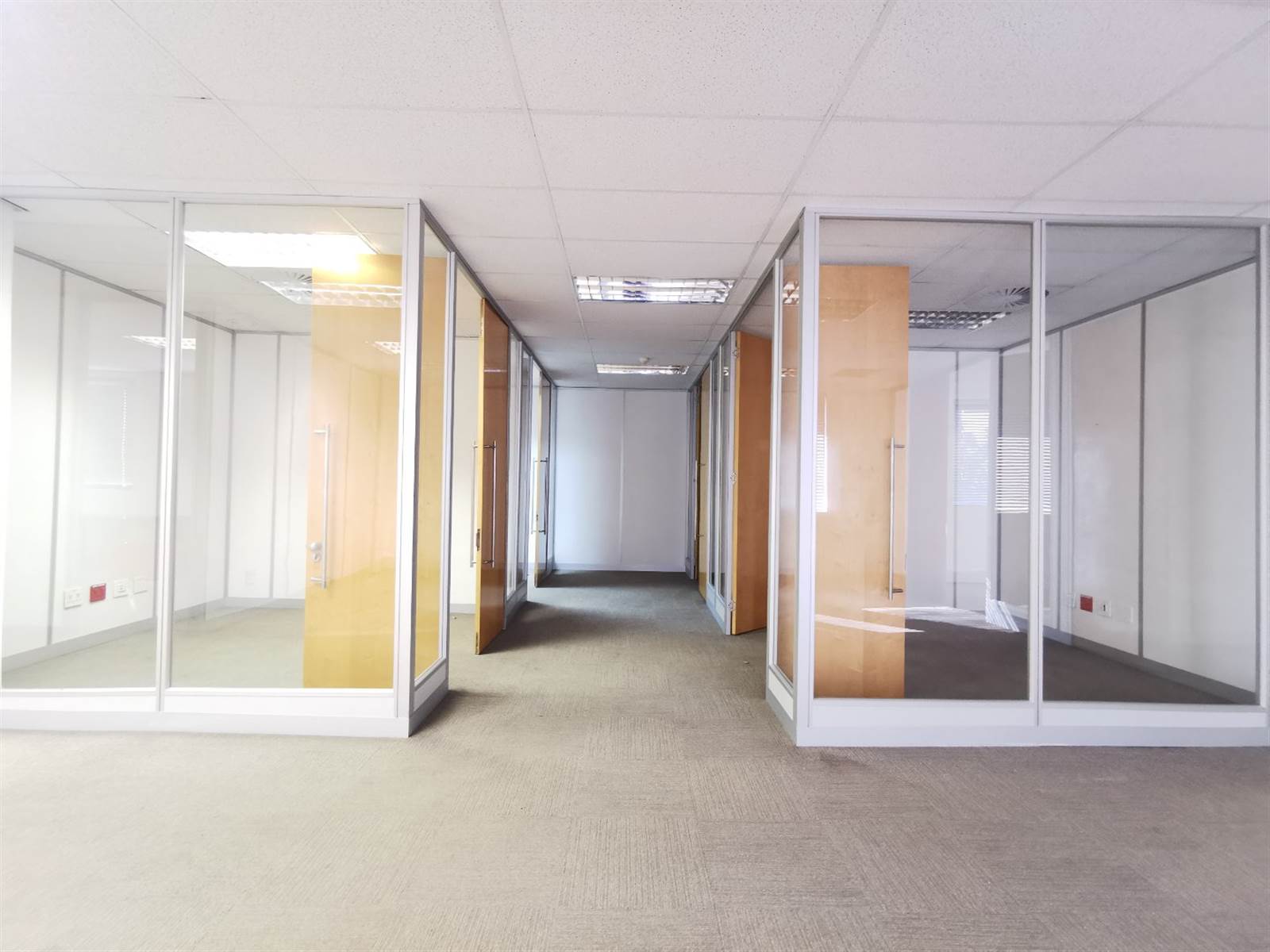 5309  m² Office Space in Constantia Kloof photo number 12