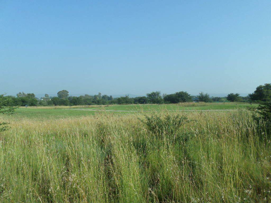 757 m² Land available in Parys Golf Estate photo number 4