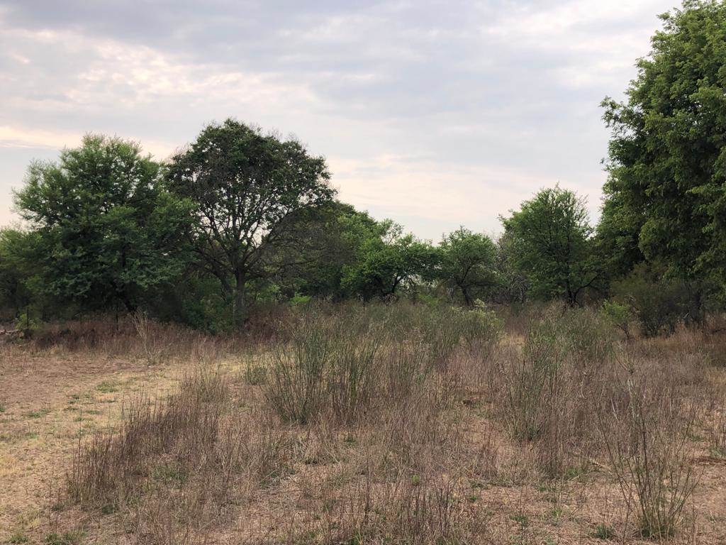 60 ha Land available in Zwavelpoort photo number 13