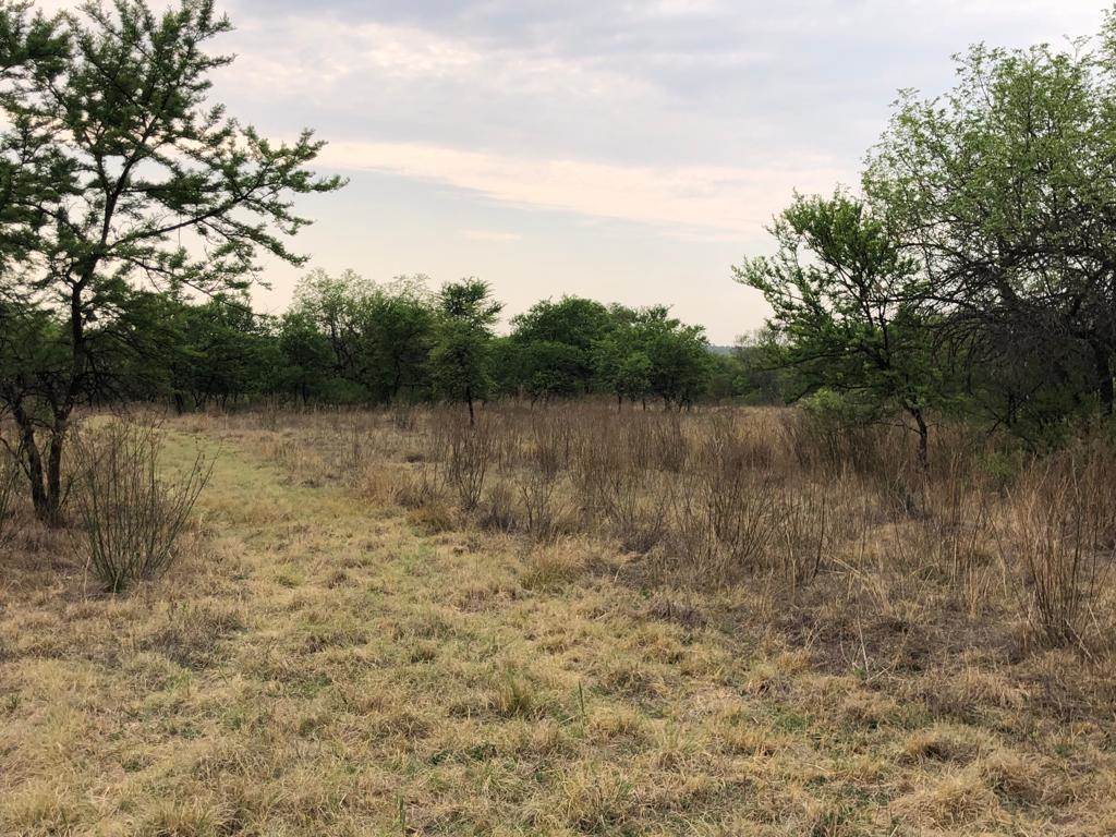 60 ha Land available in Zwavelpoort photo number 18