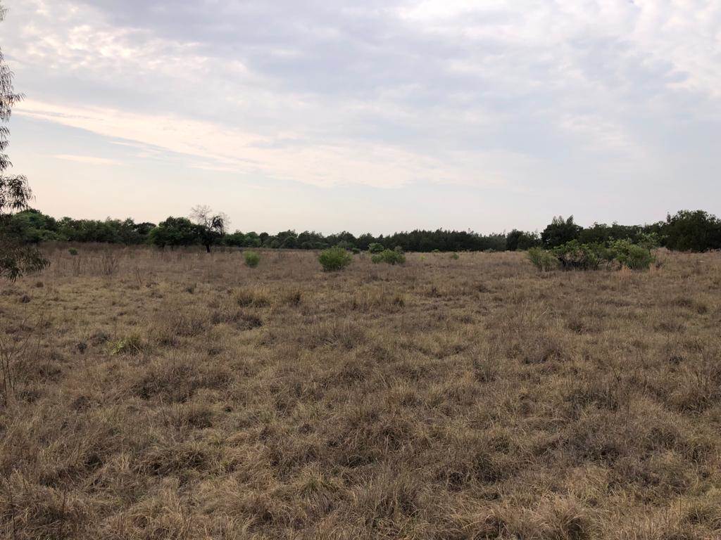 60 ha Land available in Zwavelpoort photo number 14