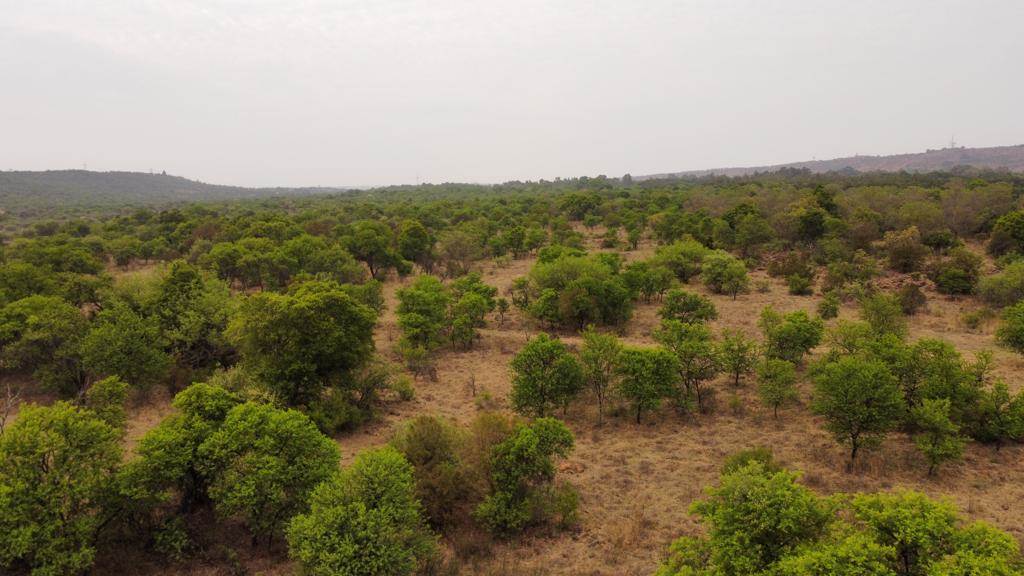 60 ha Land available in Zwavelpoort photo number 29