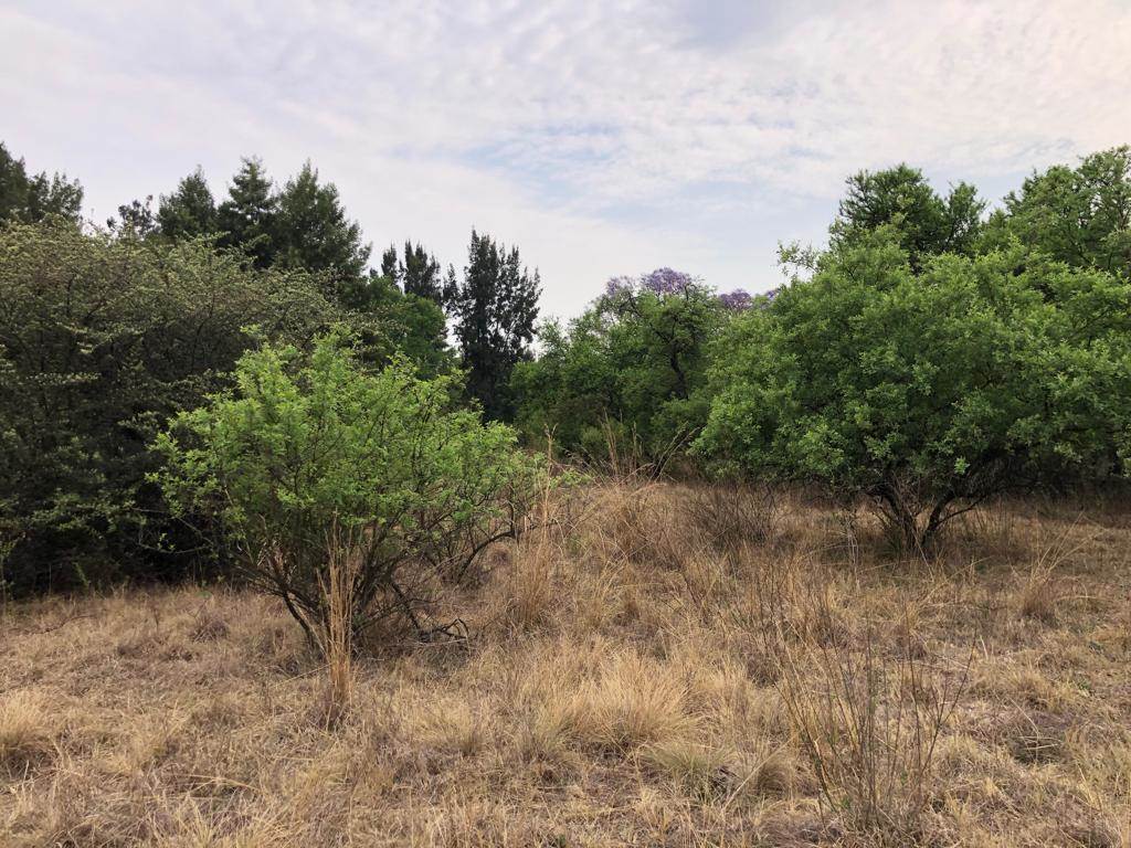 60 ha Land available in Zwavelpoort photo number 16