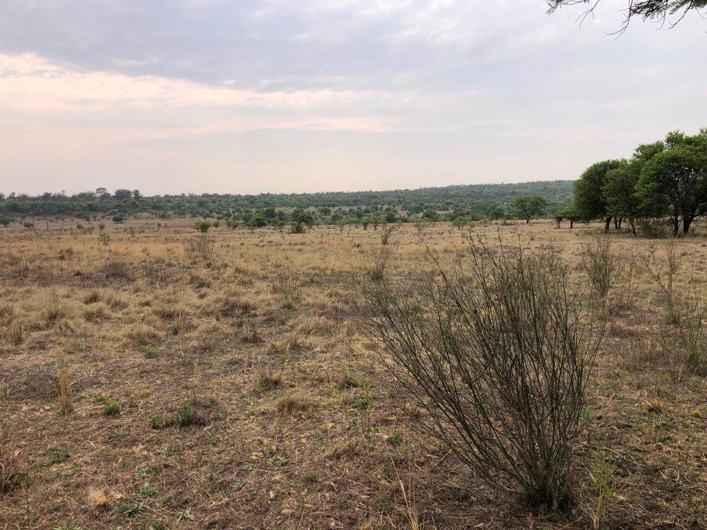 60 ha Land available in Zwavelpoort photo number 28