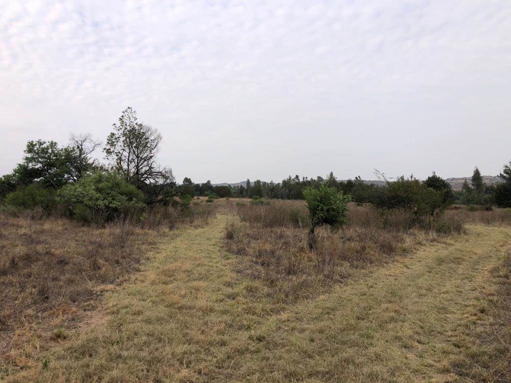 60 ha Land available in Zwavelpoort photo number 15