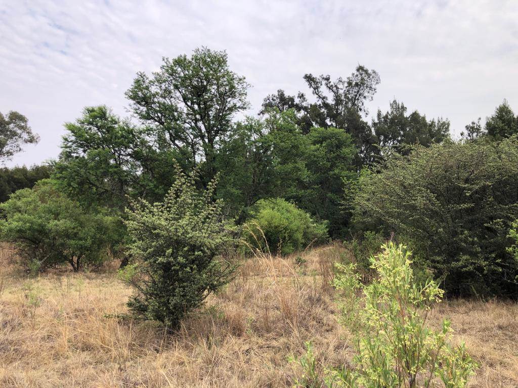 60 ha Land available in Zwavelpoort photo number 11
