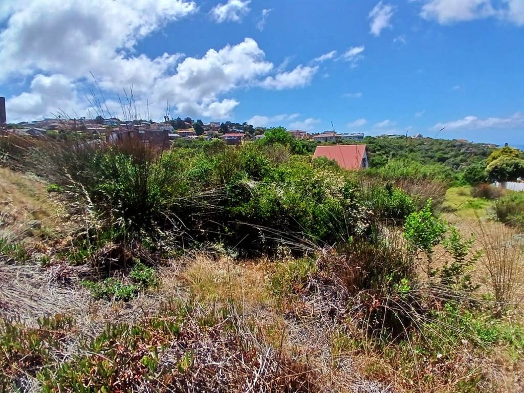 960 m² Land available in Dana Bay photo number 5