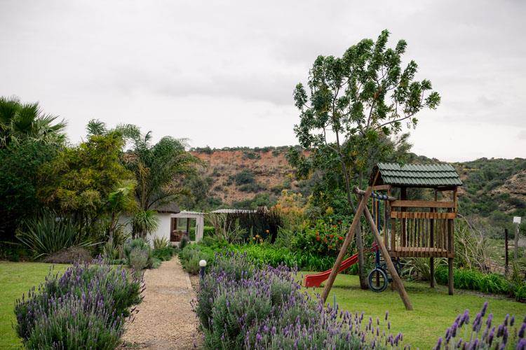 Farm in Addo photo number 8