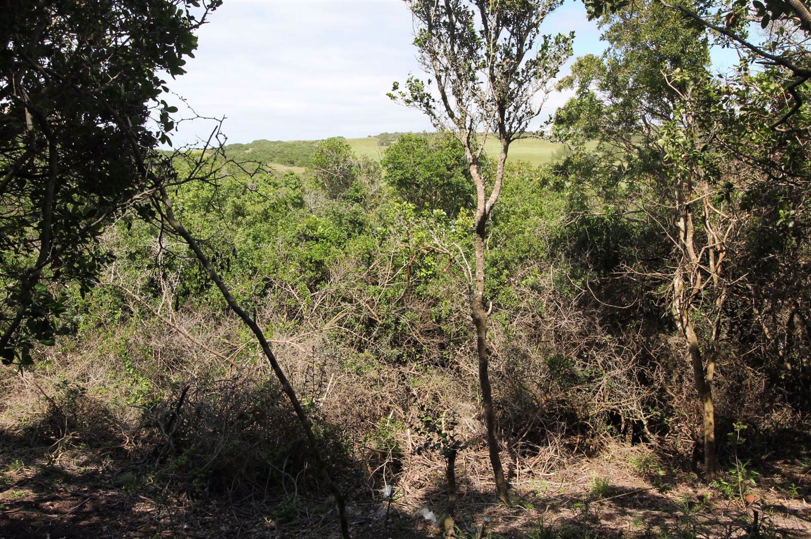 1119 m² Land available in West Bank photo number 3