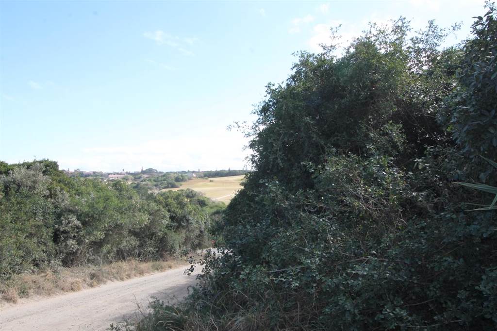 1119 m² Land available in West Bank photo number 9