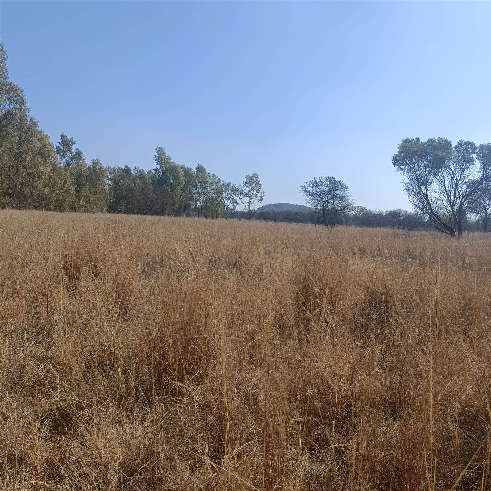 27 ha Farm in Cullinan and Surrounds photo number 9