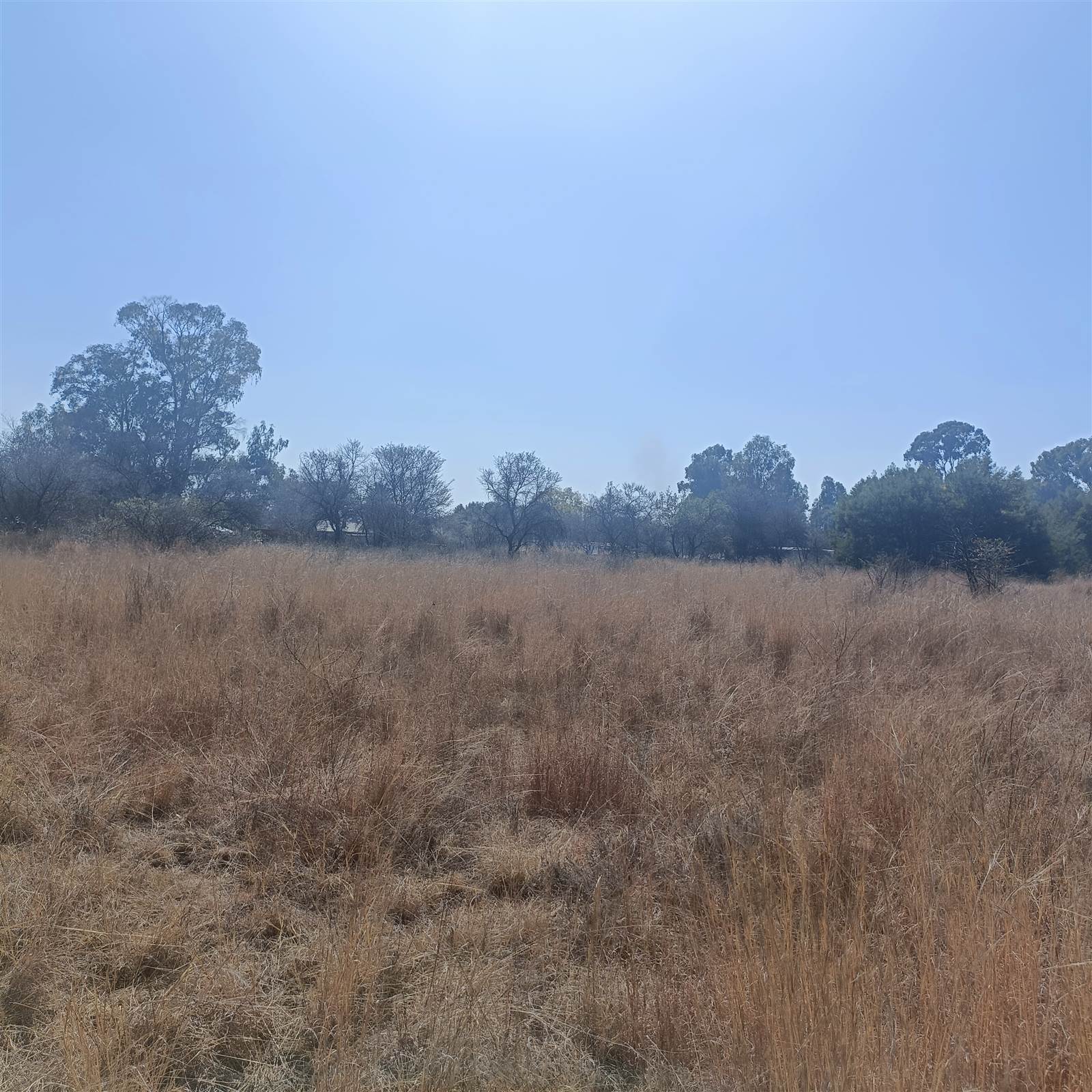27 ha Farm in Cullinan and Surrounds photo number 8