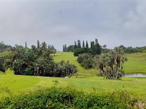 1712 m² Land available in Port Edward