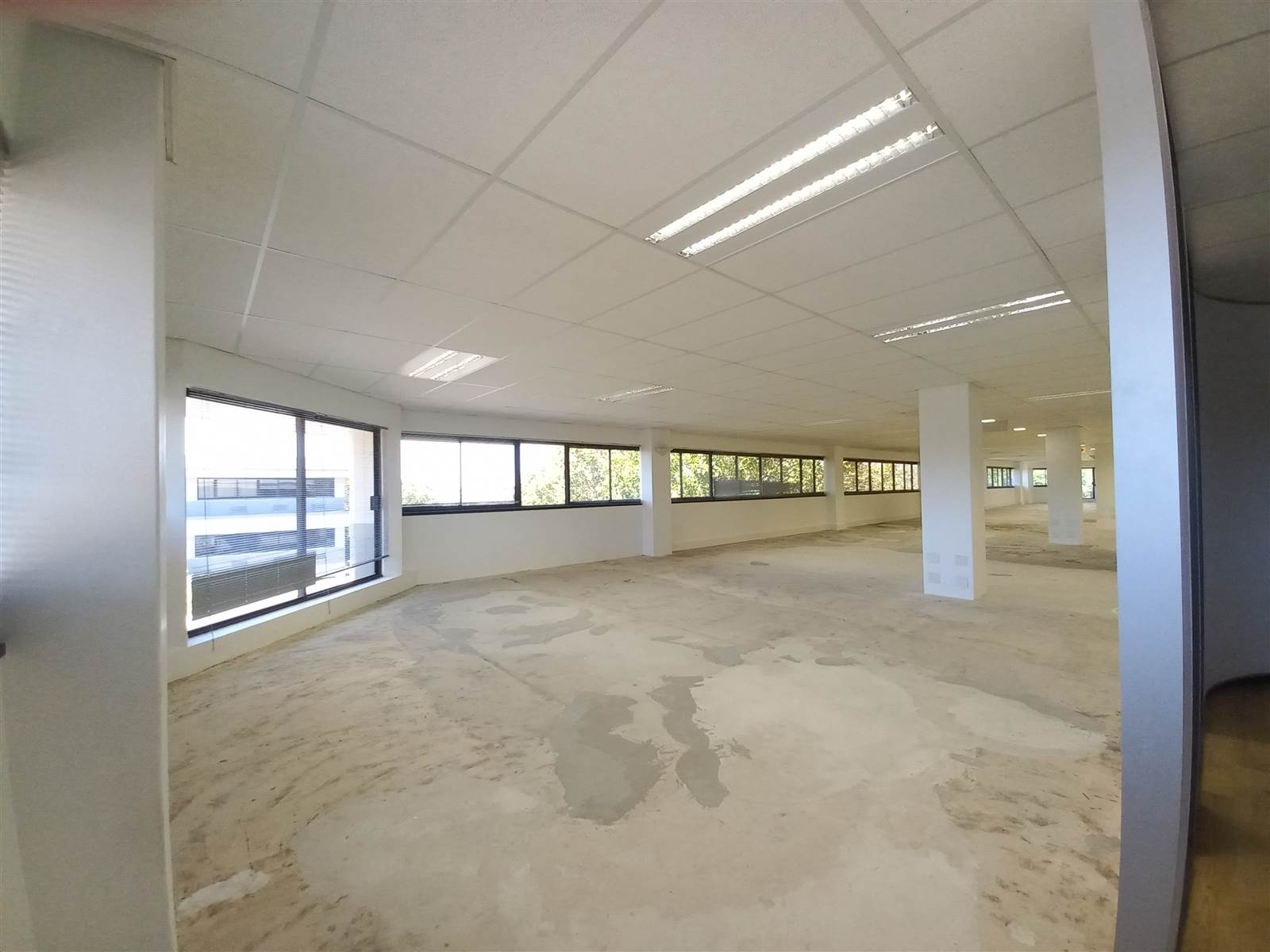 797  m² Commercial space in Pinelands photo number 8