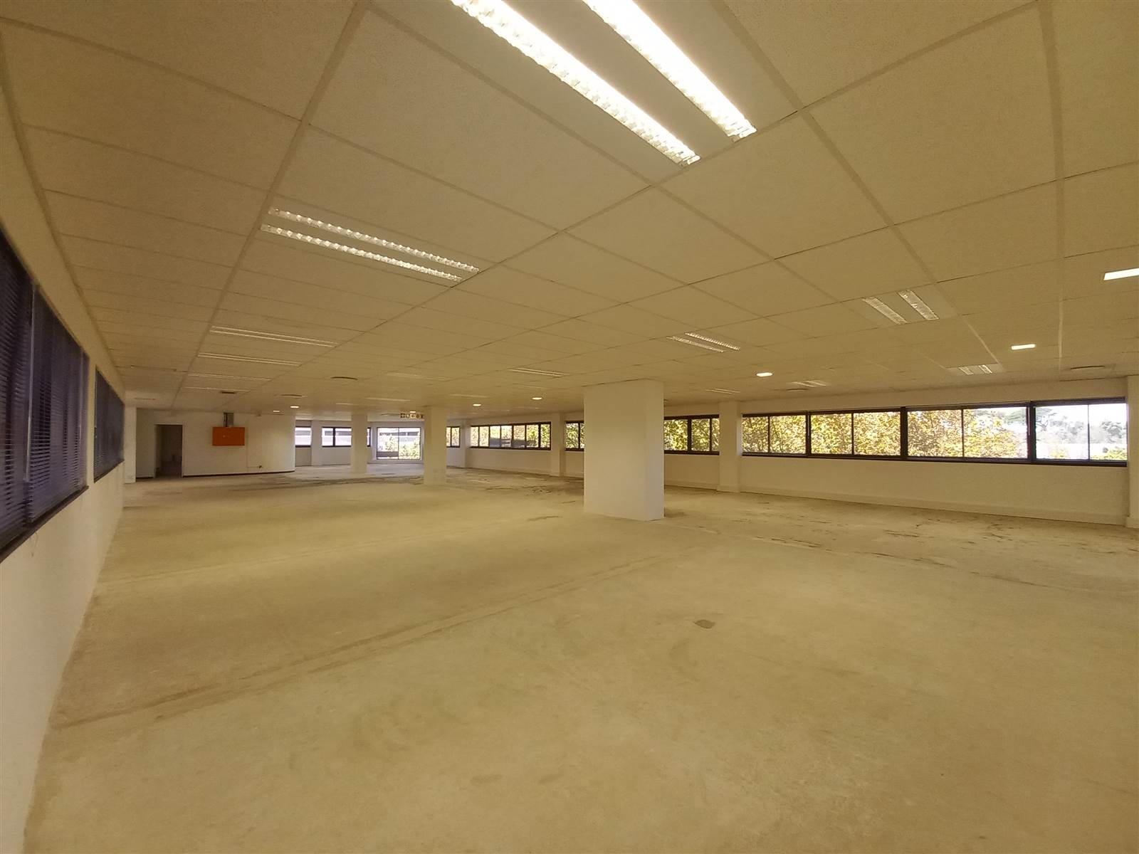 797  m² Commercial space in Pinelands photo number 14