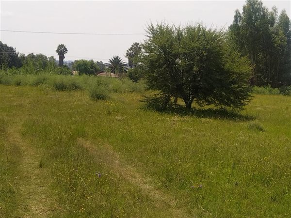 1184 m² Land available in Riversdale