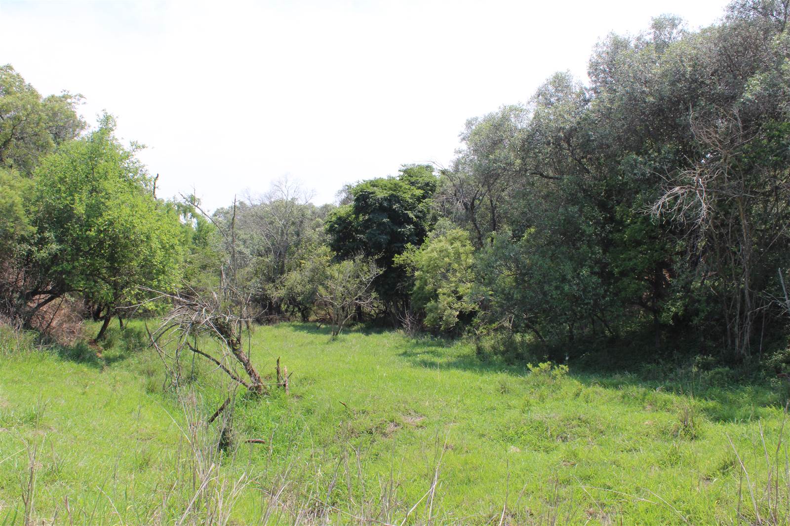 1 ha Land available in Barberton photo number 2