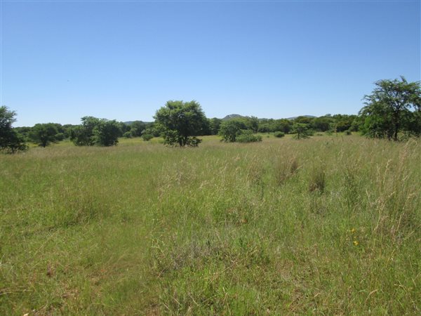 21.4 ha Land