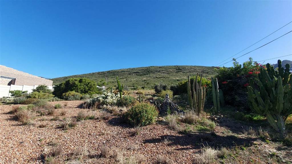 1200 m² Land available in Montagu photo number 4