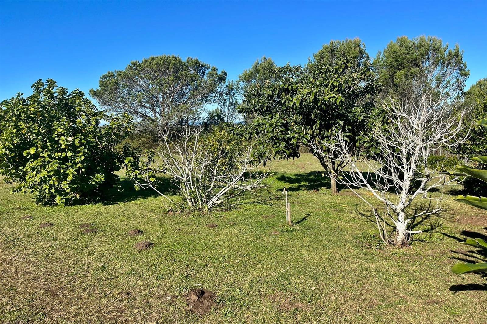 1375 m² Land available in Bathurst and Surrounds photo number 3
