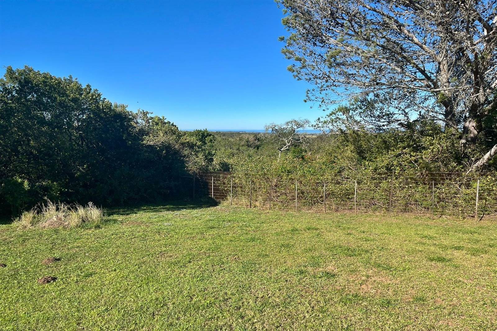 1375 m² Land available in Bathurst and Surrounds photo number 2