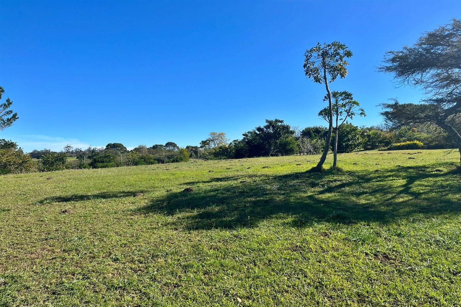 1375 m² Land available in Bathurst and Surrounds photo number 5