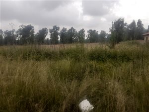 263 m² Land available in Sharon Park