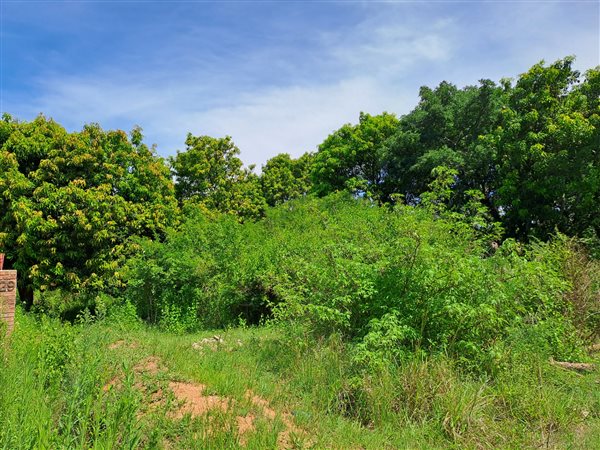 987 m² Land available in Hazyview