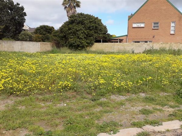 605 m² Land available in Saldanha