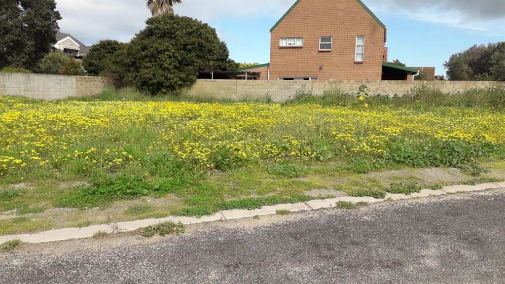 605 m² Land available in Saldanha photo number 6