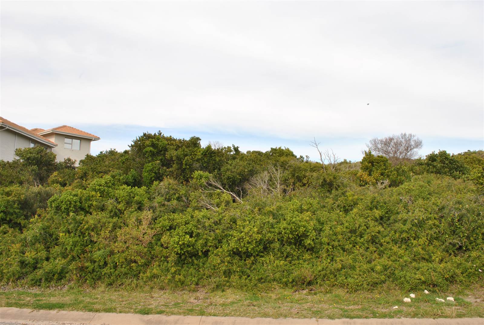 981 m² Land available in Santareme photo number 4