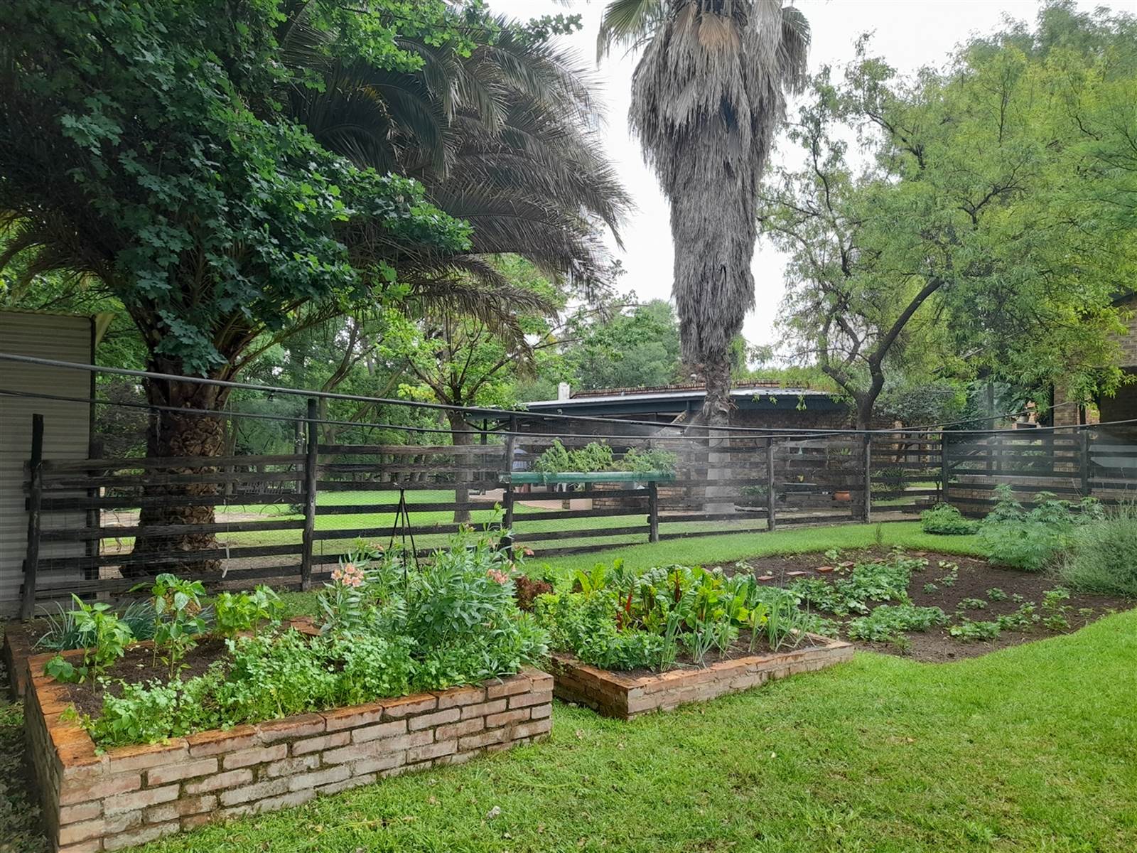 8562 m² Smallholding in President Park photo number 10