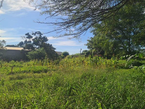 2.2 ha Land 2.2 ha Land