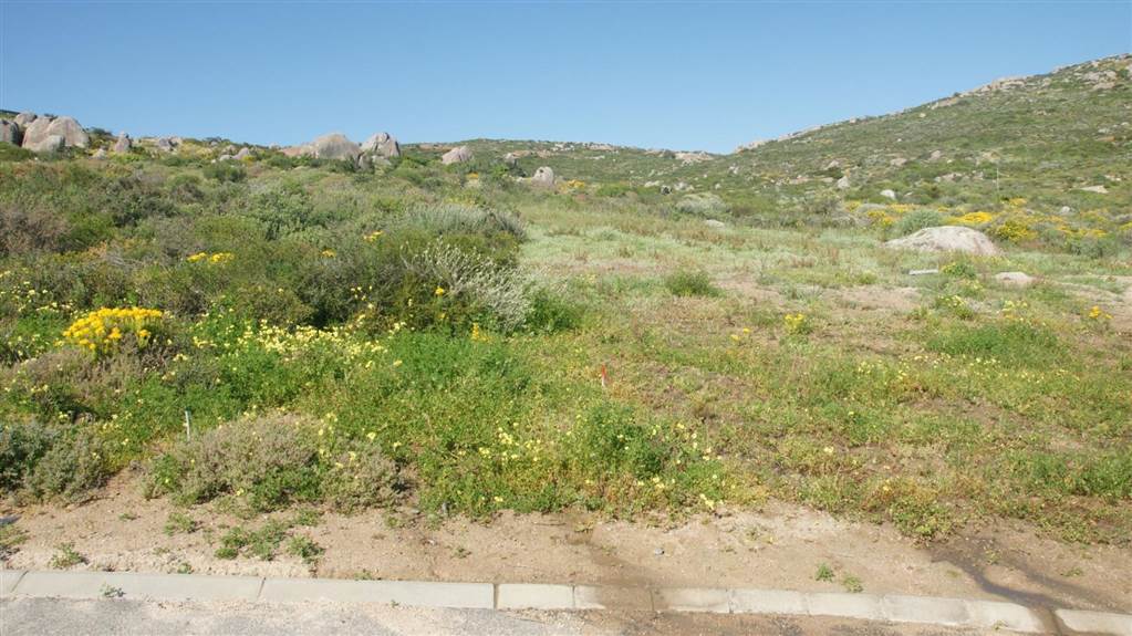538 m² Land available in St Helena Views photo number 4