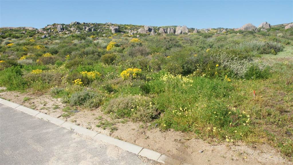 538 m² Land available in St Helena Views photo number 9