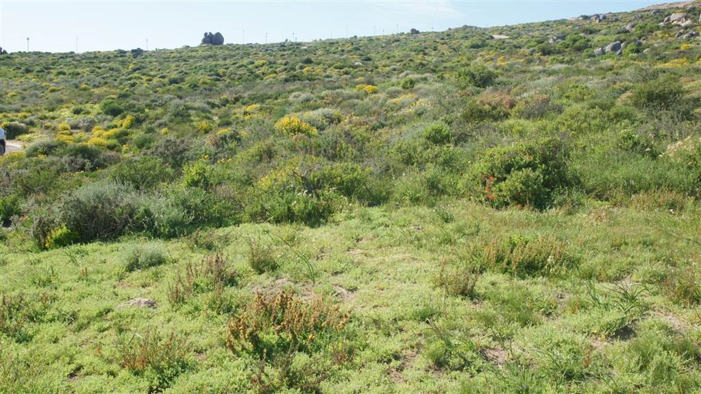 538 m² Land available in St Helena Views photo number 11
