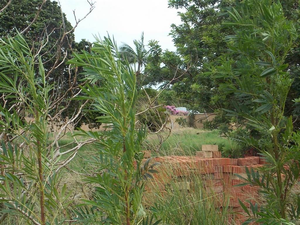1247 m² Land available in Port Edward photo number 7