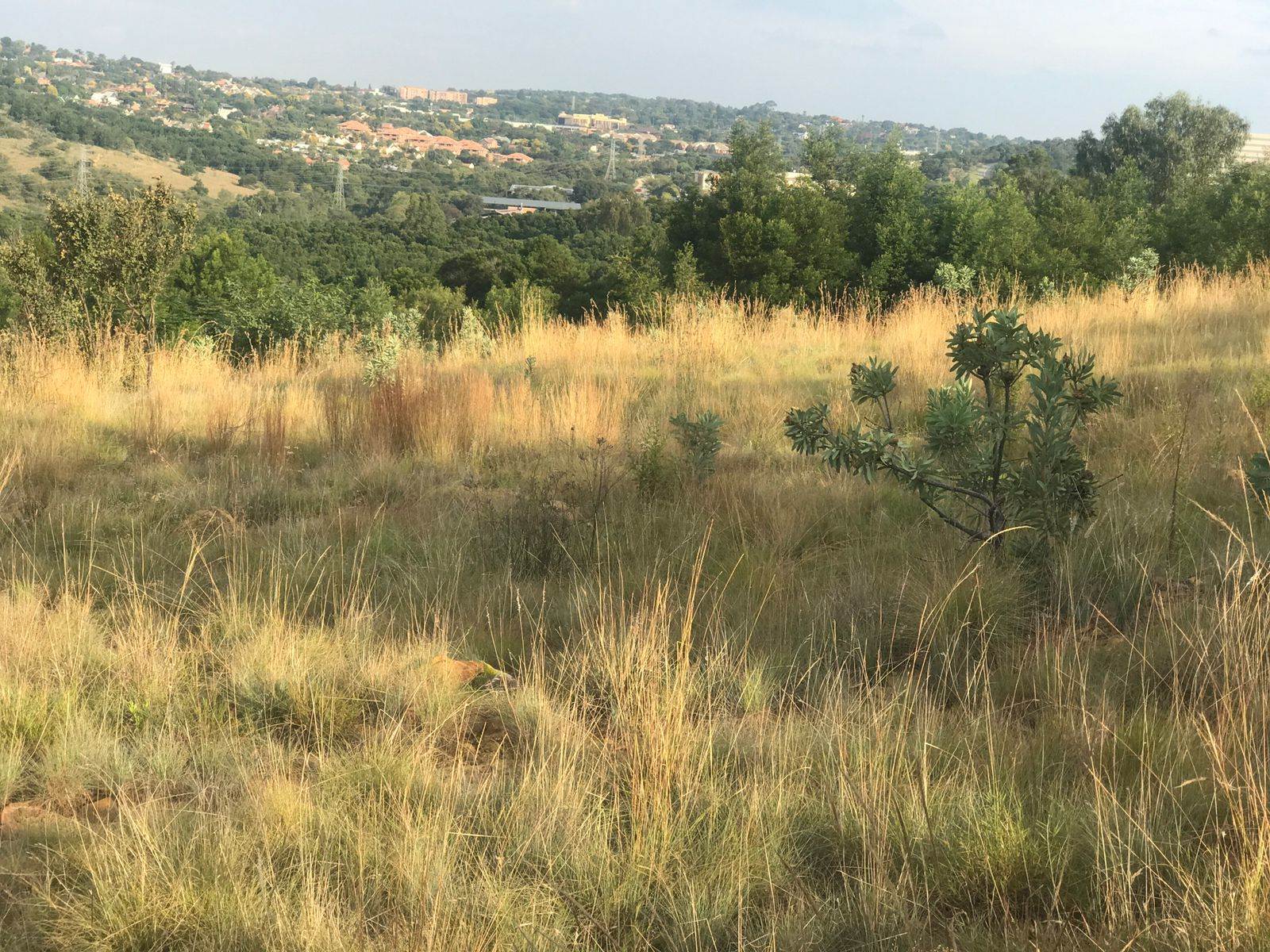 1895 m² Land available in Waterkloof Heights photo number 1