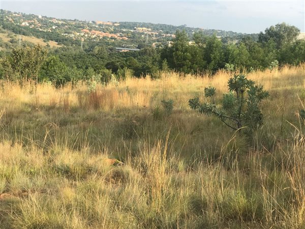 1895 m² Land available in Waterkloof Heights