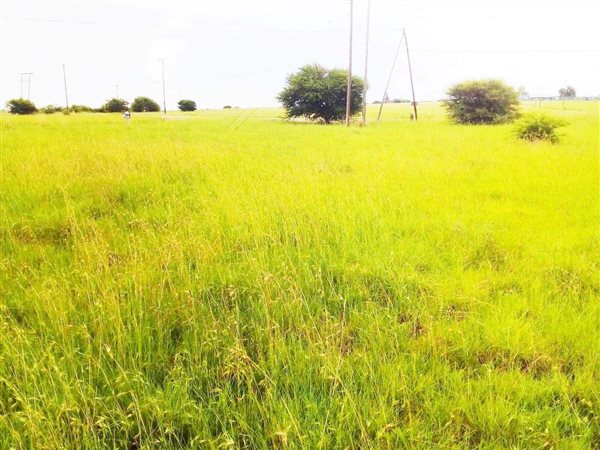 2064 m² Land available in Oranjeville