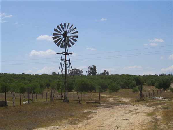 Farm in Northern Paarl