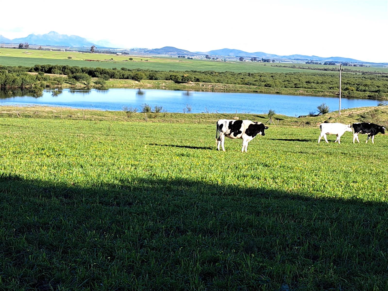 Farm in Northern Paarl photo number 21