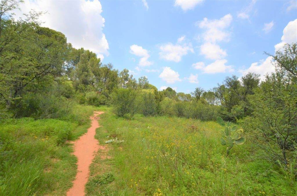 2.2 ha Land available in Spitskop photo number 11