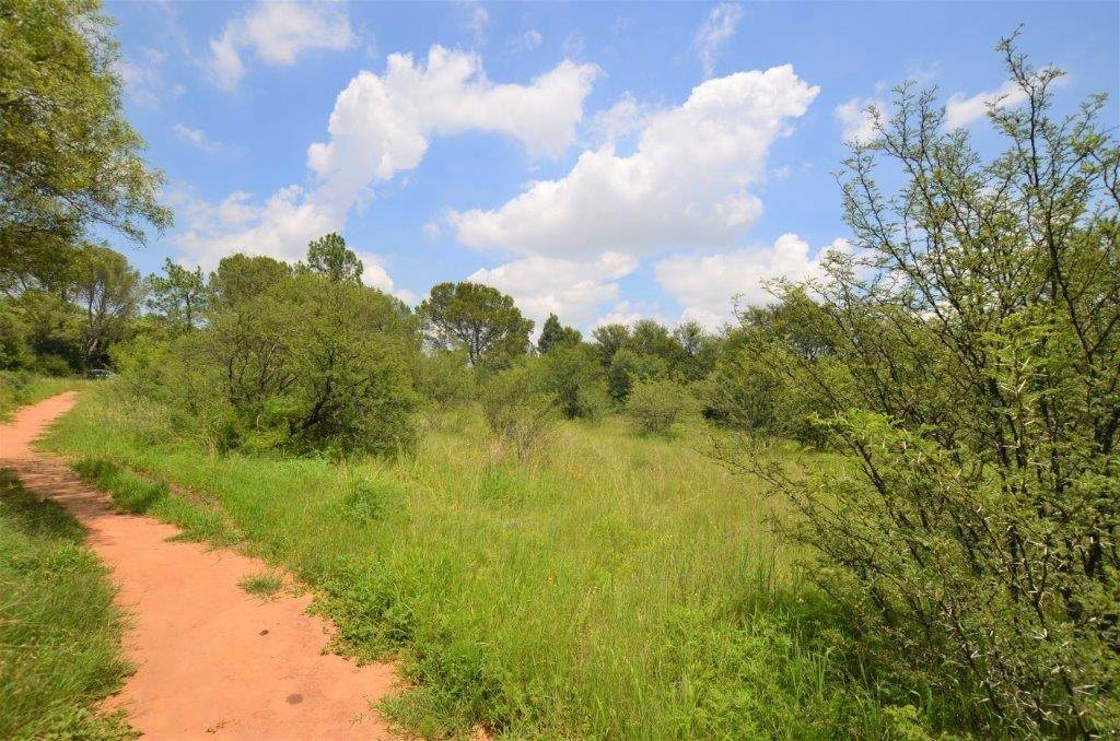 2.2 ha Land available in Spitskop photo number 13