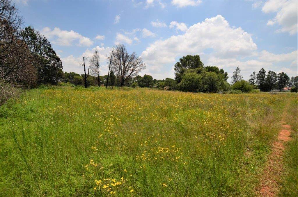2.2 ha Land available in Spitskop photo number 3