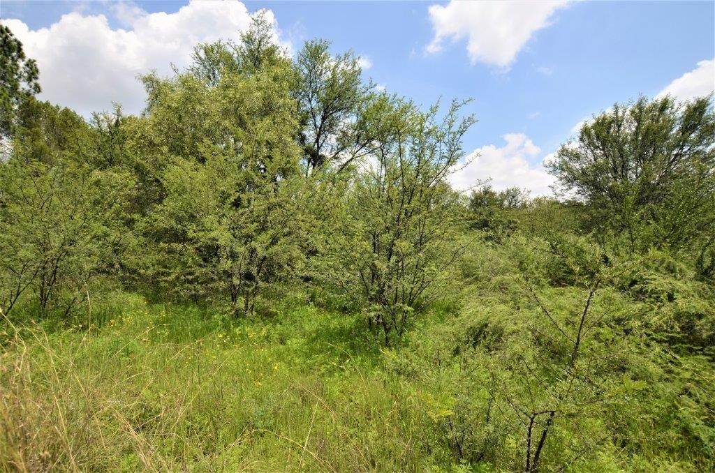 2.2 ha Land available in Spitskop photo number 15