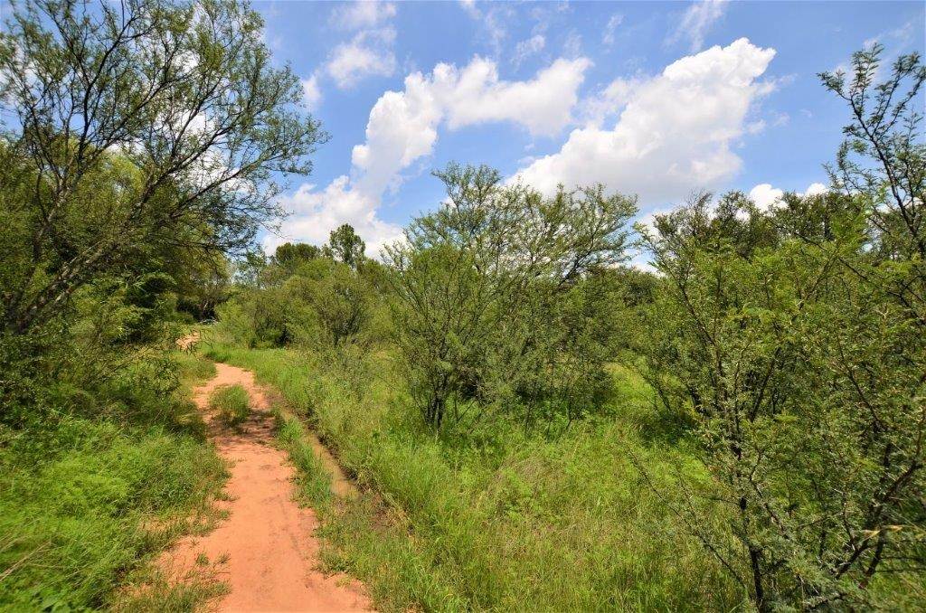 2.2 ha Land available in Spitskop photo number 12