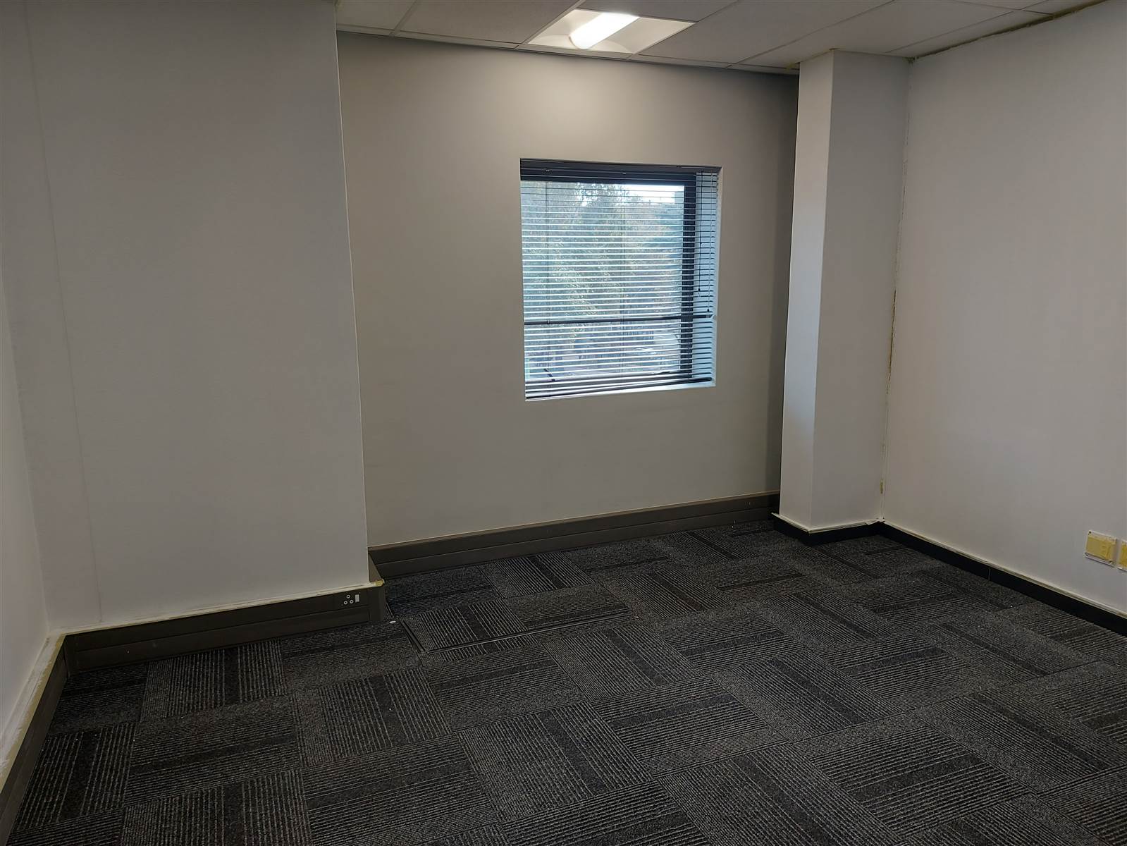 448  m² Commercial space in Parktown photo number 6