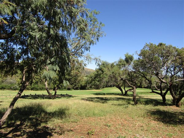 1013 m² Land available in Seasons Lifestyle Estate