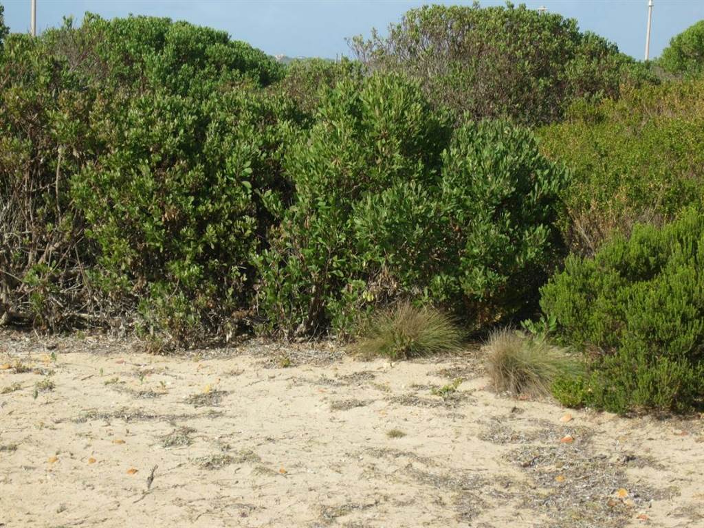 502 m² Land available in Stilbaai photo number 8